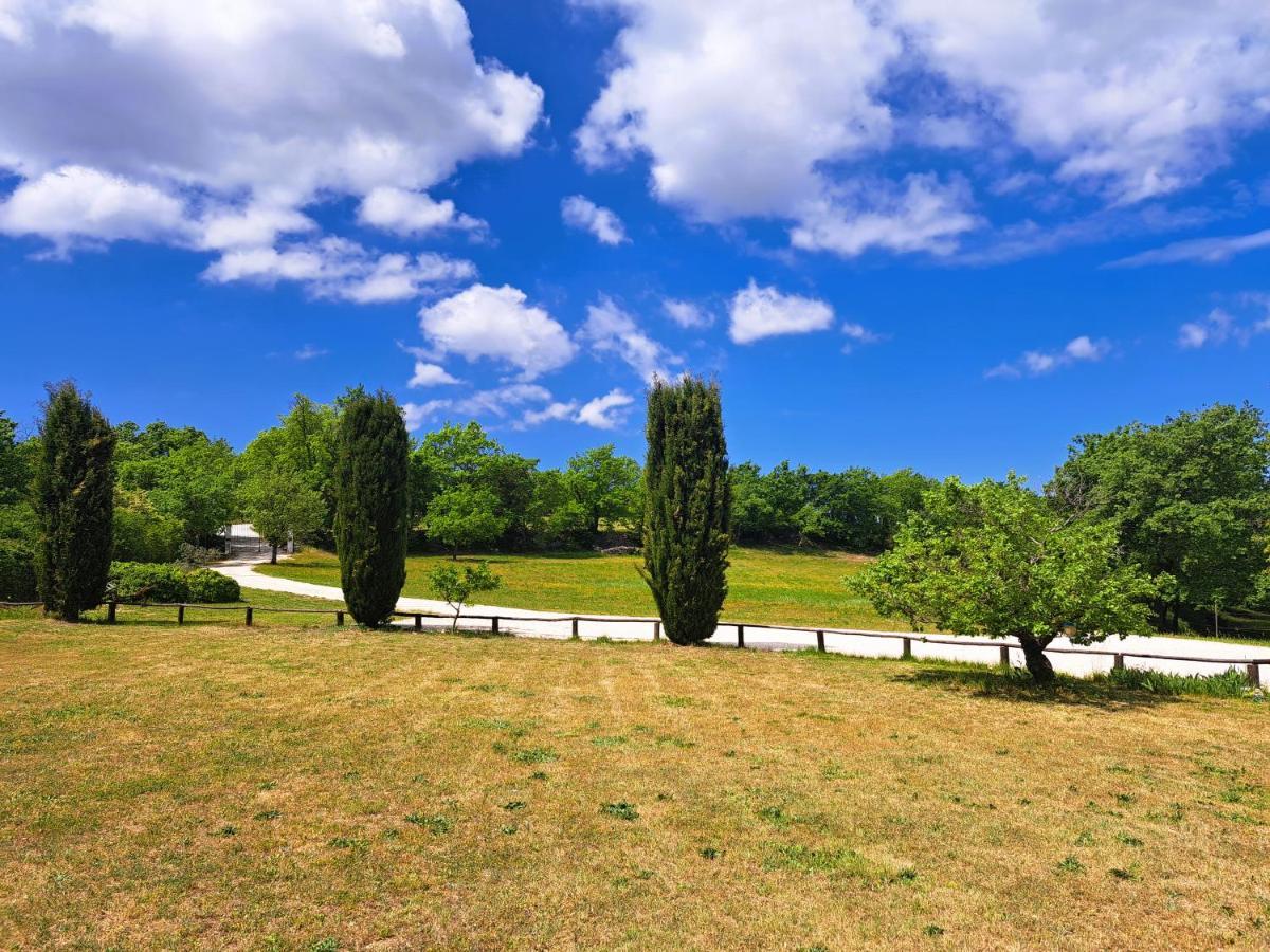 Cante Grillet Lacoste (Vaucluse) Exterior foto